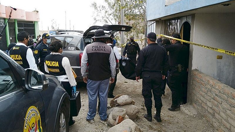 Dos perros pitbull matan a niños de seis años en Arequipa