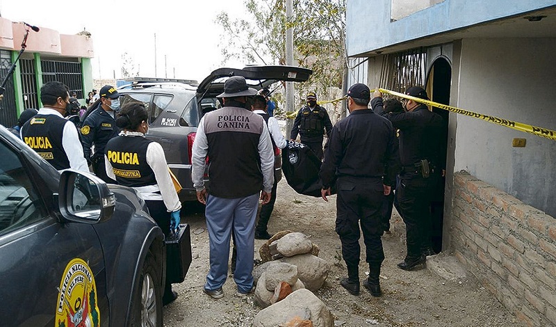 Dos perros pitbull matan a niños de seis años en Arequipa