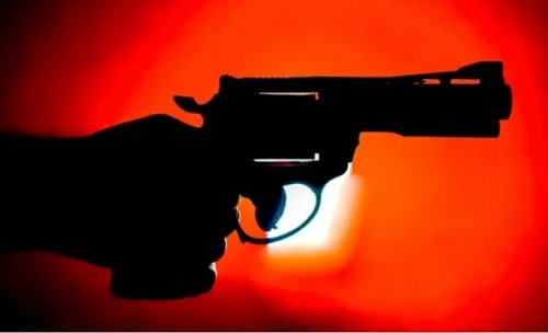 EE.UU: Niño de dos años mata a su madre tras manipular pistola de su papá