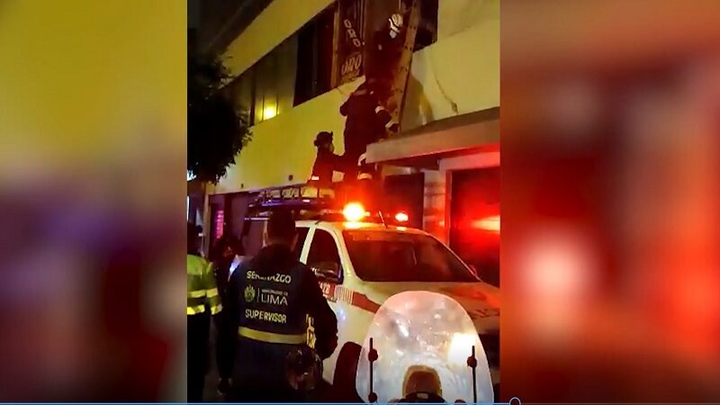 Avenida Abancay: ladrón usa escalera para robar celulares en local comercial [VIDEO]