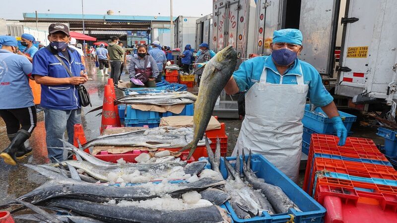Ventanilla: comerciantes bajan precios de pescados y piden a clientes no asustarse