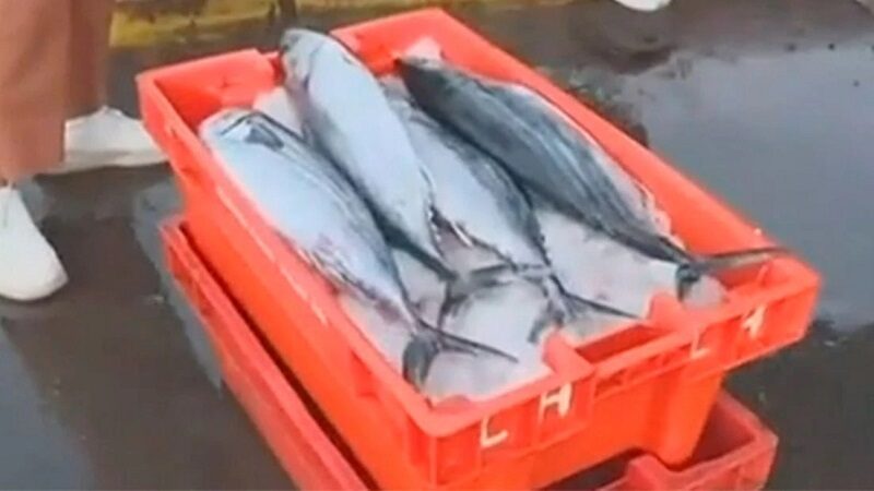 VMT: comerciantes del pesquero rematan mercadería tras toque de queda